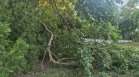 Огромен сух клон се счупи на детска площадка във Варна