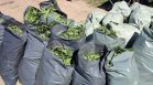 Полицаи иззеха от мъж над 331 кг марихуана в Пазарджишко