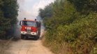 Над 10 къщи изгоряха при пожара в село Отец Паисиево, евакуираха хора