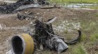10 души загинаха в самолетна катастрофа на Бахамите