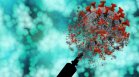Антитела и имунитет: Защо ваксинацията не ни предпазва от заразяване?