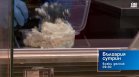 В "България сутрин" на 11 септември от 9:30 часа: Какви са оценките за инициативата "Кошница с грижа"?