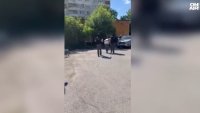 Екшън в Софийско и десетки задържани, Демерджиев обяви как "недосегаеми няма" (ВИДЕО)