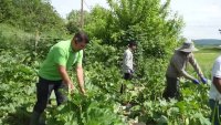 Бизнесът се нуждае от 160 000 сезонни работници, спешно наема чужденци (ВИДЕО)