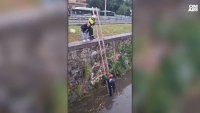 Щастлив край: Спасиха кученце от буйните води при Лъвов мост (+ВИДЕО)