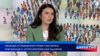 От "делата-шамари" до домашното насилие: Тревожната картина за България