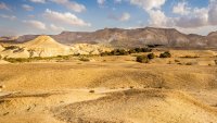 Откриха стотици древни китове с крака насред пустиня в Египет