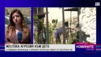 Обедна емисия