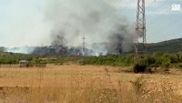 Залесяват 500 декара опожарени терени край Стара Загора