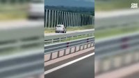 Опасно шофиране: Заснеха водач да кара в насрещното на АМ "Тракия"