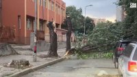 Парк "Пирин" продължава да гори, бурята в Петрич е била страховита (ВИДЕО)