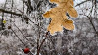 В Елхово живакът слезе до -15 градуса, в Кнежа отчетоха -13