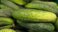 БАБХ спря и унищожи над 7 тона турски краставици с пестициди