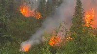 Пожарът край Бобошево е засегнал над 1200 декара