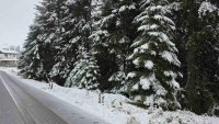 Сняг заваля в Смолян и Пампорово, има сигнали за закъсали автомобили (+ВИДЕО)