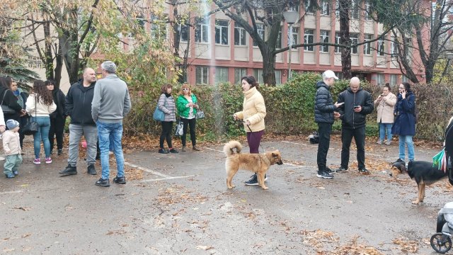 Продължават протестите срещу насилника на кучето Мечо Този път недоволството