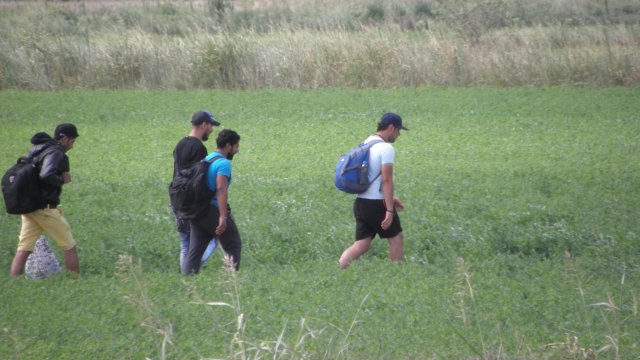 Турската жандармерия е заловила 146 мигранти готвещи се да влязат