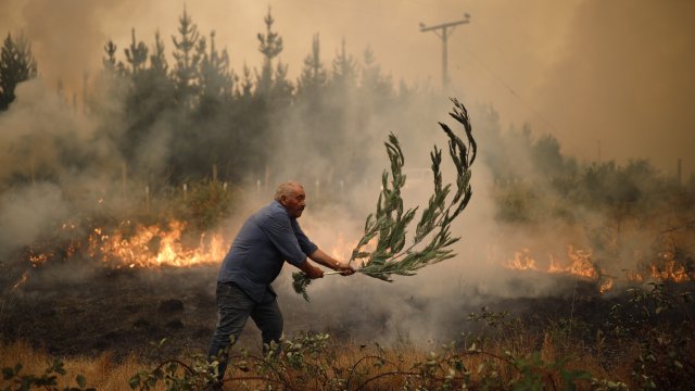 Пожарникарите се борят с десетки бушуващи горски пожари в Чили,