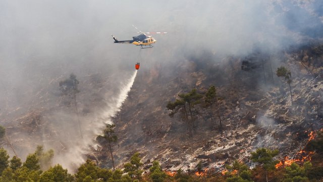 Безпрецедентните пожари в Европа в летните месеци са изяли огромна