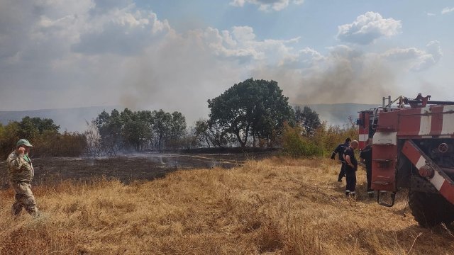 Около 1000 декара пасища и ниви горят в Брягово Хасково В гасенето