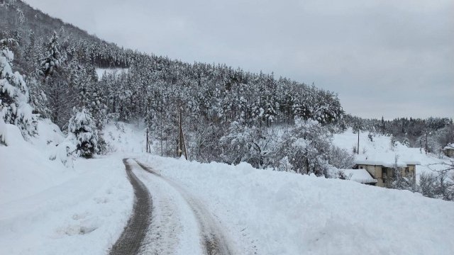 Обилният снеговалеж в Родопите предизвика проблеми по пътищата. ТИР-ове са
