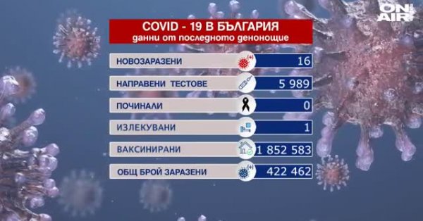 Само 16 заразени и без починали от Ковид-19 в изборния ден - Vimarsana News